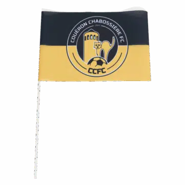 Hercules Merchandise custom printed hand flags
