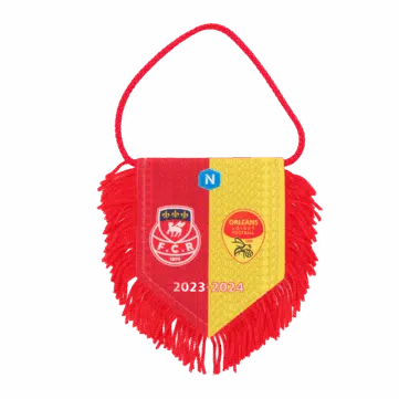 Hercules Merchandise printed pennant