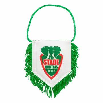 Hercules Merchandise printed pennant