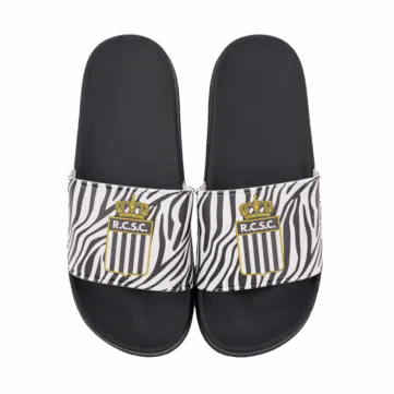 Hercules_Merchandise_slides