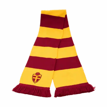 Personalisierter Blockstreifen-Schal