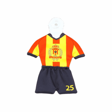 Personalisiertes Mini-Trikot