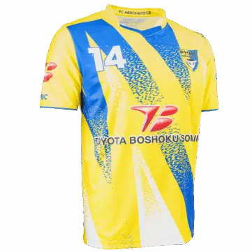 Personalisiertes Volleyball-Trikot